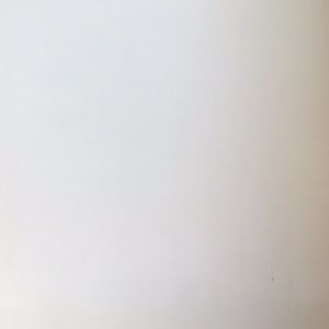 Meet your Posher, Leo